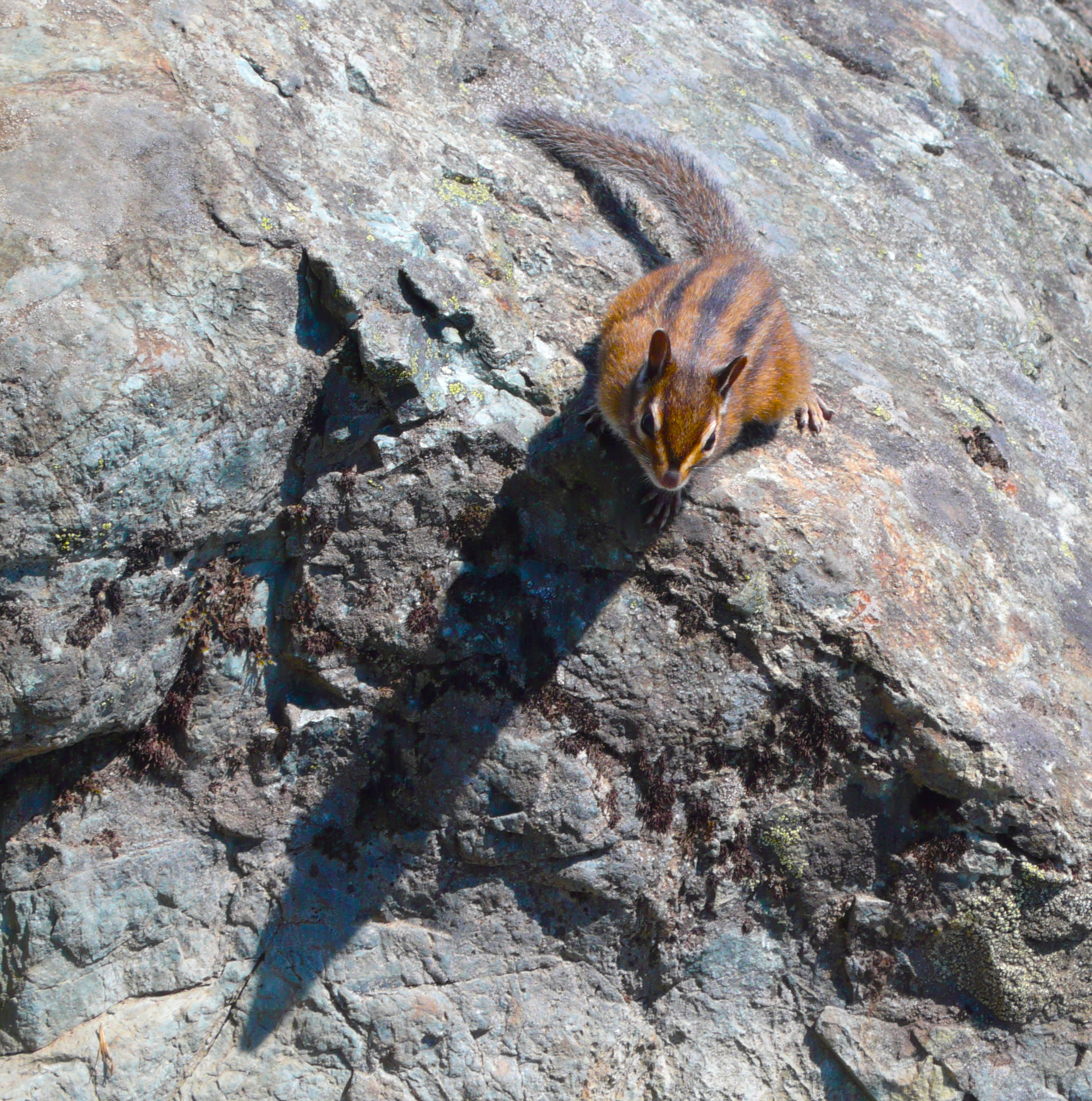 hikes within one hour drive of Seattle | FranGallo's Blog